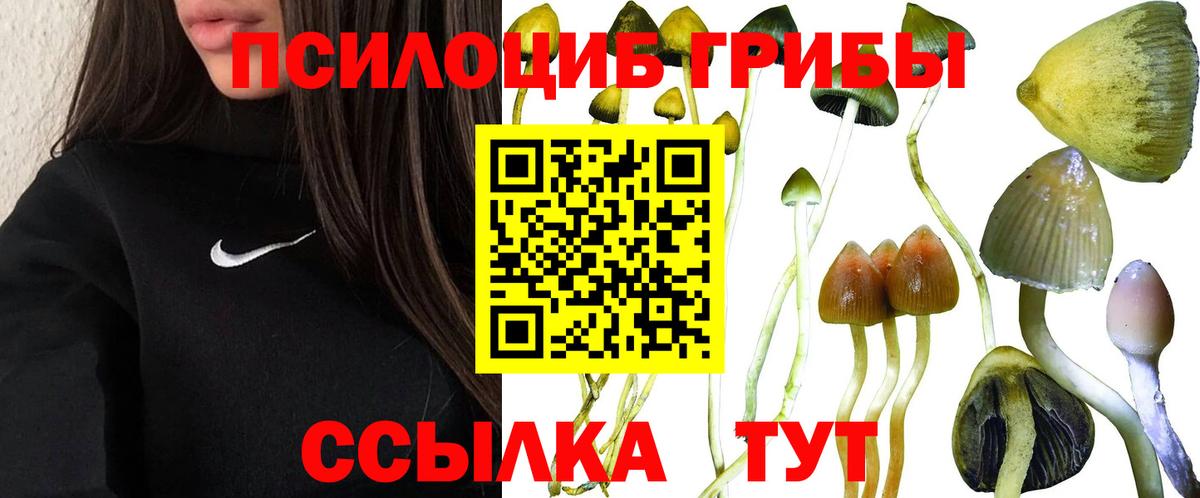 Псилоцибиновые грибы мухоморы  Вход с VPN  Нижнекамск  Псилоцибиновые грибы GOLDEN TEACHER 